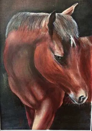 The musculature of a horse is a very precise observation and can be difficult to render and it has not quite worked in this case. It would also appear that the artist has shortened the head to fit the canvas, thus the proportions are compromised. Overall the colours and tones are good.


Oil over Acrylic
13" x 8.5"

Artist Annette Warnes